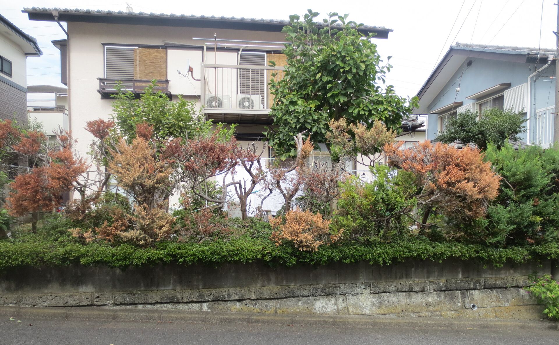 夏期休業のお知らせ